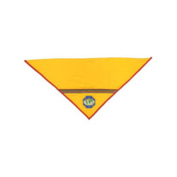 Master Guide Embroidered Scarf